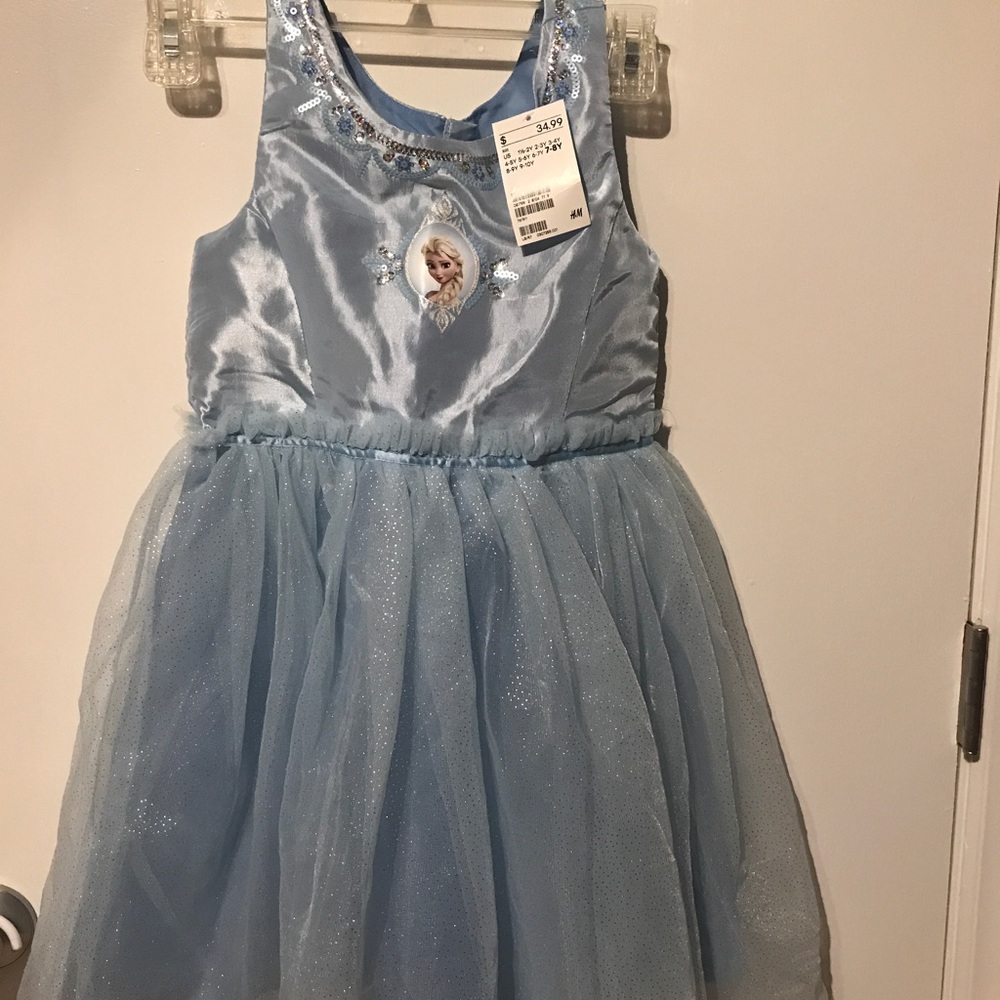 Beautiful Embellished Frozen Dress